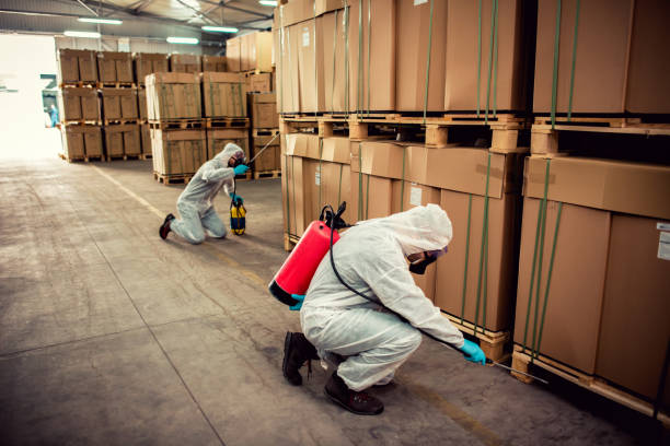 Best Mosquito Control Services  in Woodbury, TN
