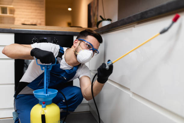 Best Exterminator Services  in Woodbury, TN