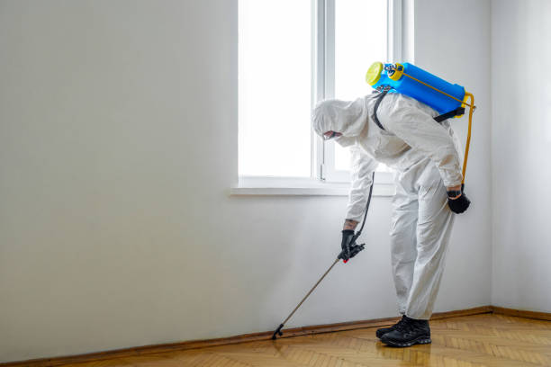 Insect Control in Woodbury, TN