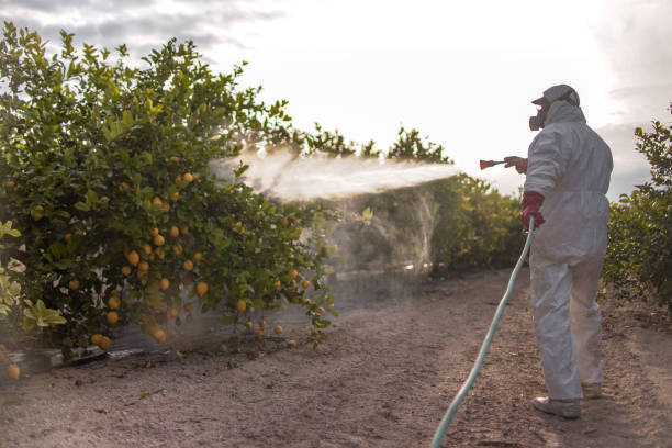 Best Affordable Pest Control Services  in Woodbury, TN