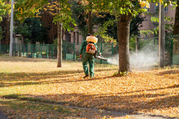 Best Flea Control Services  in Woodbury, TN