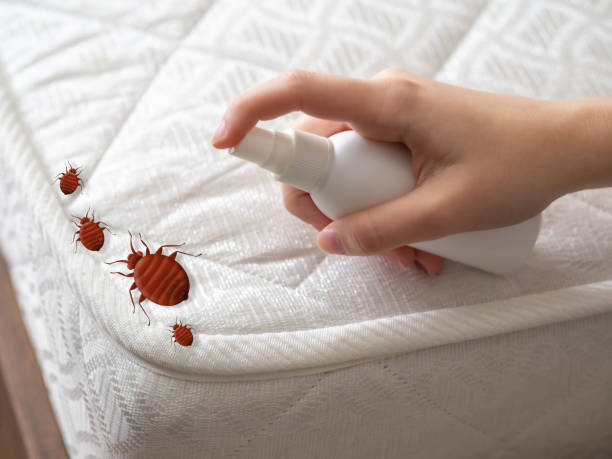 Best Local Pest Control Services  in Woodbury, TN