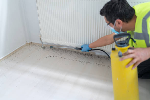 Best Pest Control for Businesses  in Woodbury, TN